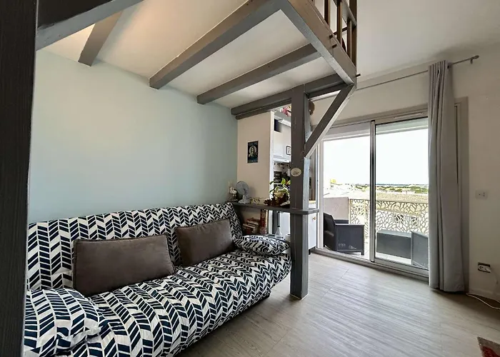 Cap D'agde Ct375-085 Appartement Agde